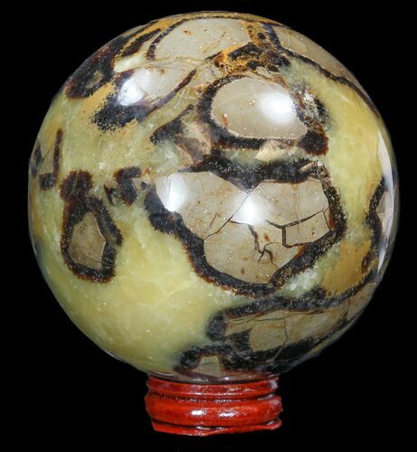 Polished Septarian Sphere - With Stand #43864